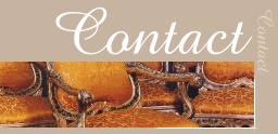 Contact section
