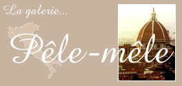 La galerie ple-mle