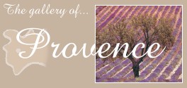 Provence gallery